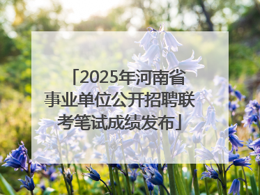2025年河南省事业单位公开招聘联考笔试成绩发布