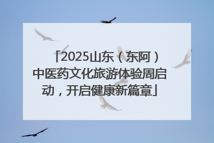 2025山东（东阿）中医药文化旅游体验周启动，开启健康新篇章