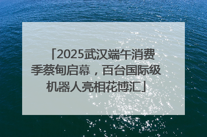2025武汉端午消费季蔡甸启幕，百台国际级机器人亮相花博汇