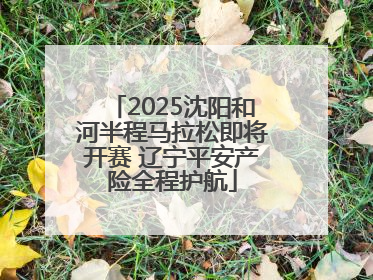 2025沈阳和河半程马拉松即将开赛 辽宁平安产险全程护航
