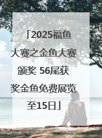 2025福鱼大赛之金鱼大赛颁奖 56尾获奖金鱼免费展览至15日