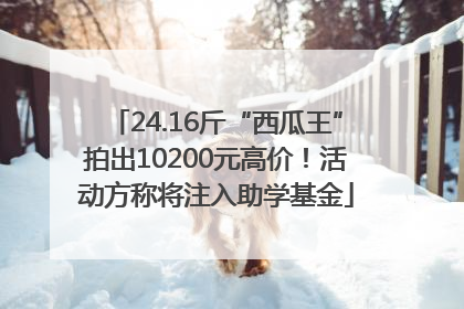 24.16斤“西瓜王”拍出10200元高价！活动方称将注入助学基金