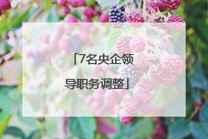 7名央企领导职务调整