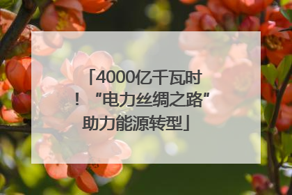 4000亿千瓦时！“电力丝绸之路”助力能源转型