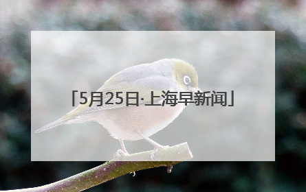 5月25日·上海早新闻