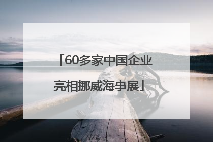 60多家中国企业亮相挪威海事展