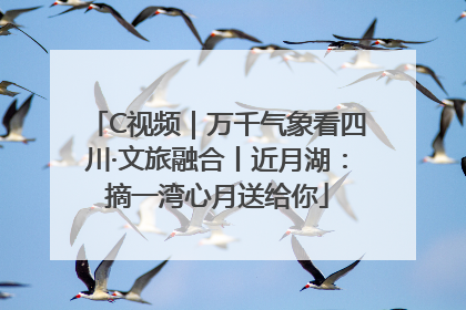 C视频｜万千气象看四川·文旅融合丨近月湖：摘一湾心月送给你