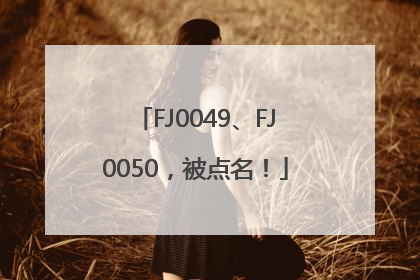 FJ0049、FJ0050，被点名！