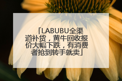 LABUBU全渠道补货，黄牛回收报价大幅下跌，有消费者抢到转手就卖